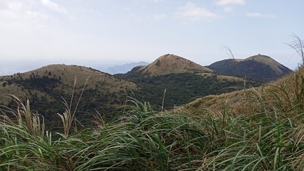 【臺北大縱走 2】鞍部→大屯群峰→清天宮1276339