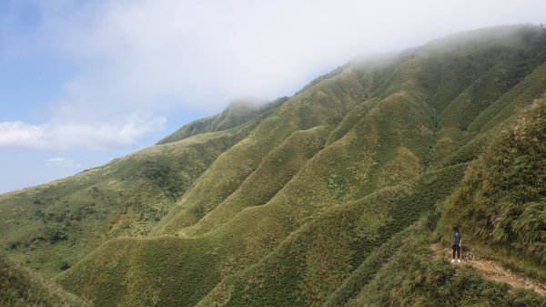 聖母登山步道（抹茶山）2005780