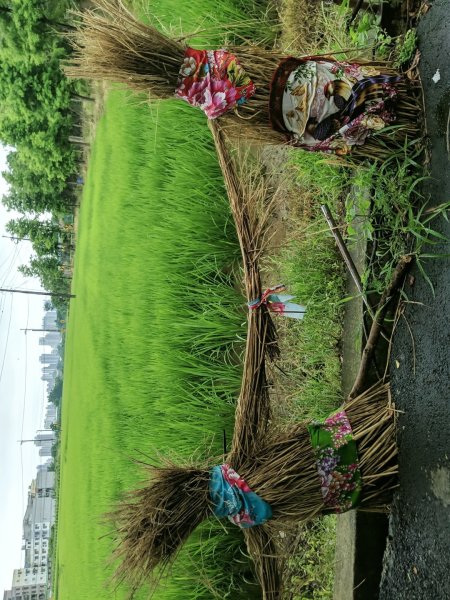 霄裡新屋綠色走廊鐵馬一日遊2803255