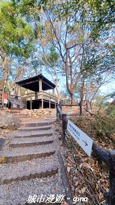 【台中和平】捎來步道x2025山谷燈光節2957994