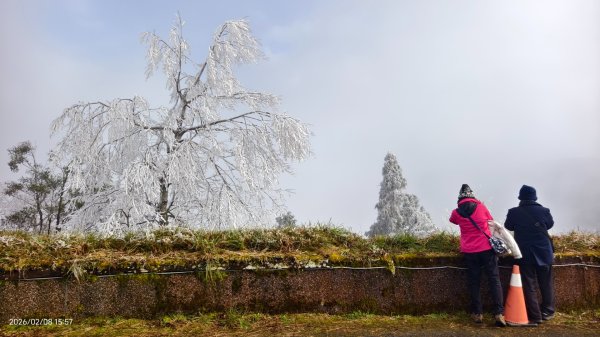#霧淞 #雲海 #雲瀑 #霧虹 #太平山 #望洋山 #觀雲步道 #翠峰道路  2/82995379