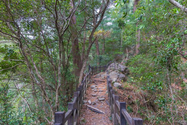 谷關七雄_波津加山2977612