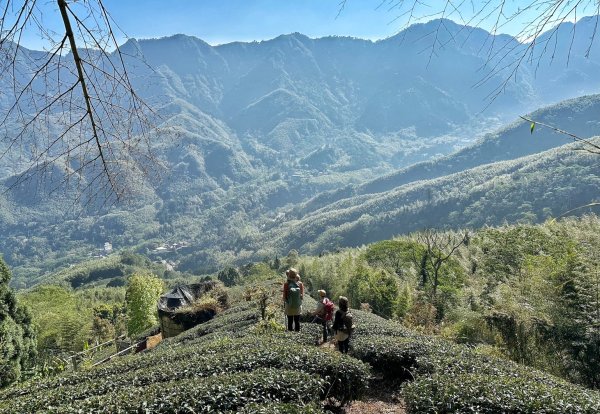 溪頭六連峰O繞2741780