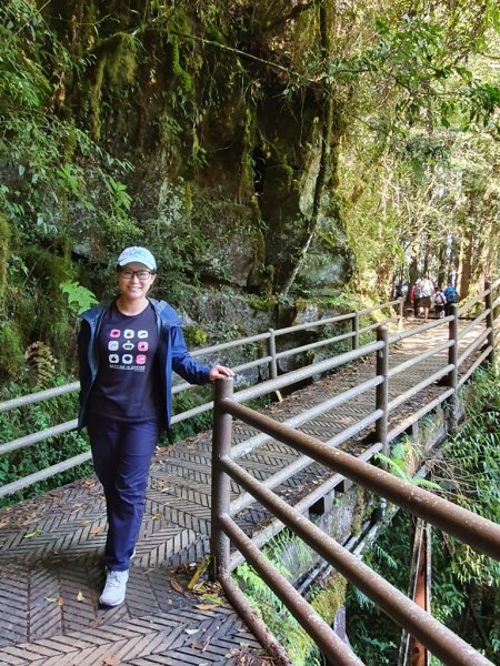 【阿里山】特富野古道1093715