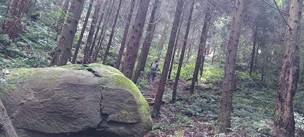 凌空廊道~煤源山來回-2023/06/032171191