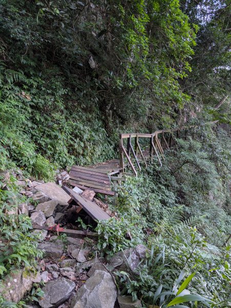 孕婦第一次的谷關七雄馬崙山2991621