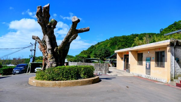 向天蝦不蝦2936792