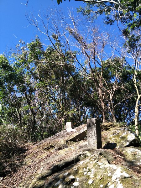 2019 12 24 西阿里關山步道786624