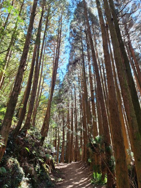 石山引水道202512112959526