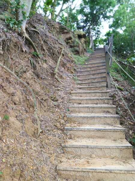 挑戰1063階的木棧階梯。 新田登山步道776939