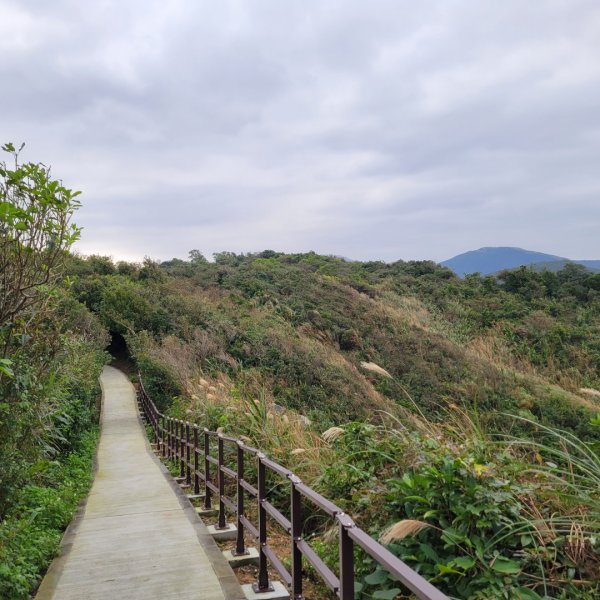 情人湖環湖環山步道、老鷹岩1566636