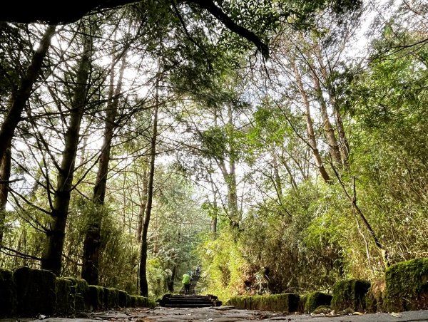 二延坪_鹿林山2865328