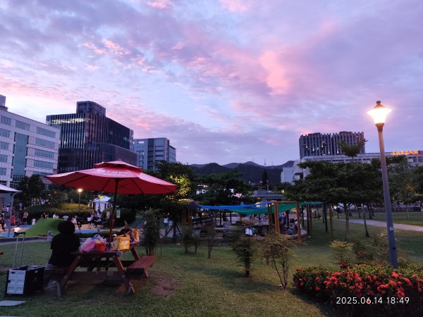 內湖大港墘公園 - 星展新加坡永續嘉年華封面