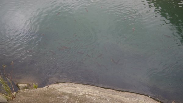 外按古道登山健行趣(淡蘭南路TK3-3)2268979