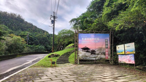 20251115_草嶺古道追芒趣2942937