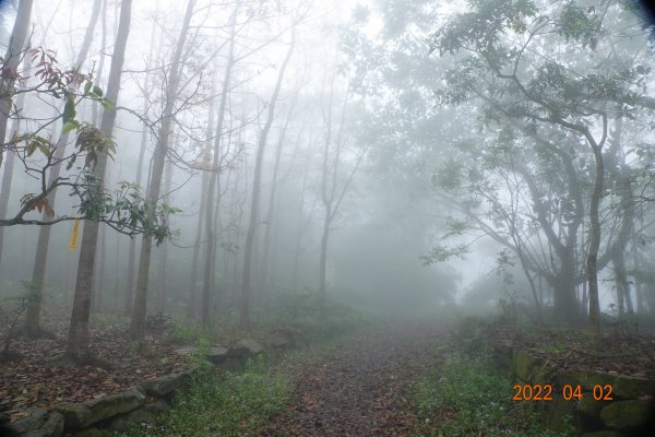 臺南 南化 刣牛湖山1664311