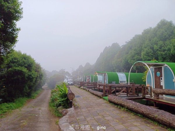 【新竹五峰】迷霧山林。 民都有山登山步道(面托油山)x民都有山北峰2991903