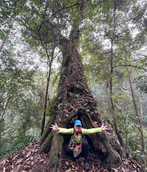 小百岳馬那邦山(H1407m)加碼採草莓2694709