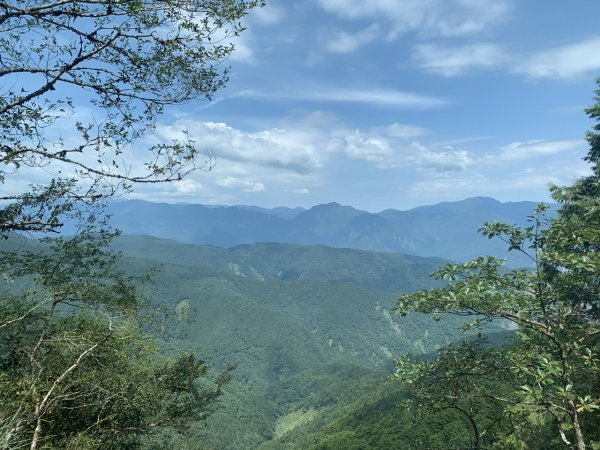 見晴懷古步道+檜木原始步道2254711