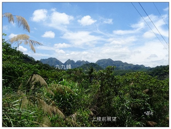 青桐林山(本雙溪嘴山、北坑山)1718483