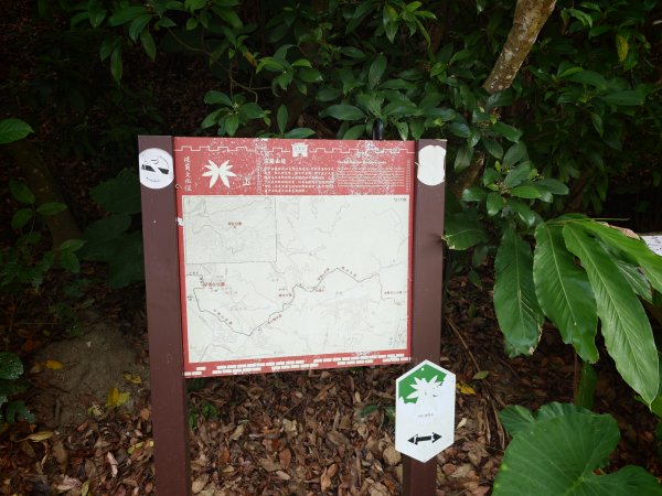 [淡蘭古道] 2026_0523 南路第一段_富陽自然生態步道3069288
