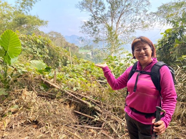 苗栗金童山、玉女山、汶水山2672890