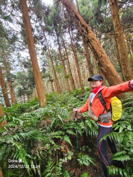 【苗栗郊山聖稜線】仙神象18連峰大縱走2675903