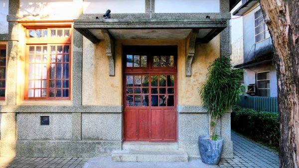 落羽松大道,龍潭大池2976229