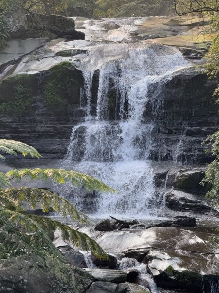 2025/02/17 姜子寮絕壁瀑布 姜子寮山2908678