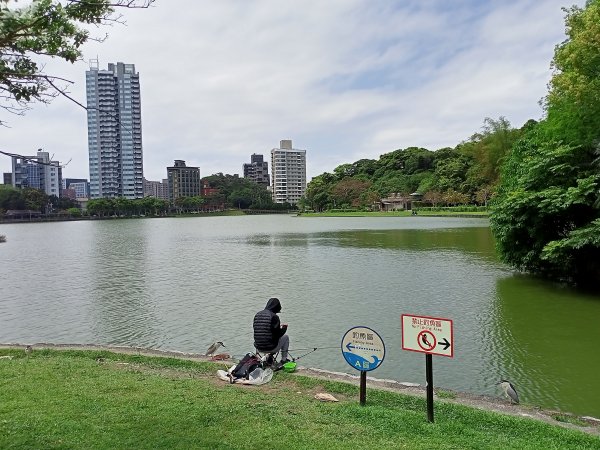 芳菲四月漫遊碧湖公園步道