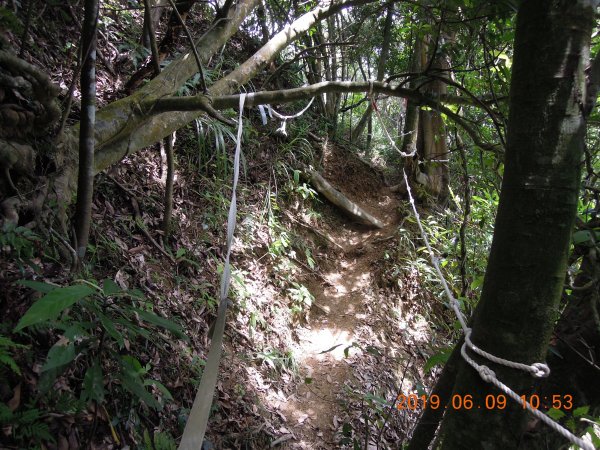 20190609_月扇湖山841479