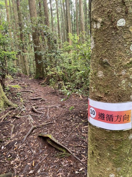 20250705-Ep.01野馬瞰山步道-2025森遊竹縣皮皮獅探險隊2851280