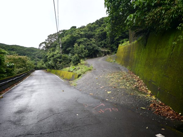 [淡蘭古道] 2026_0614 北路第三段_道路3075533