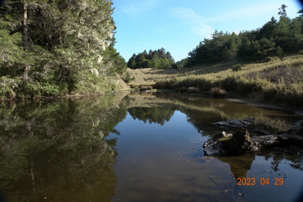 南投 仁愛 武法奈尾山2133780