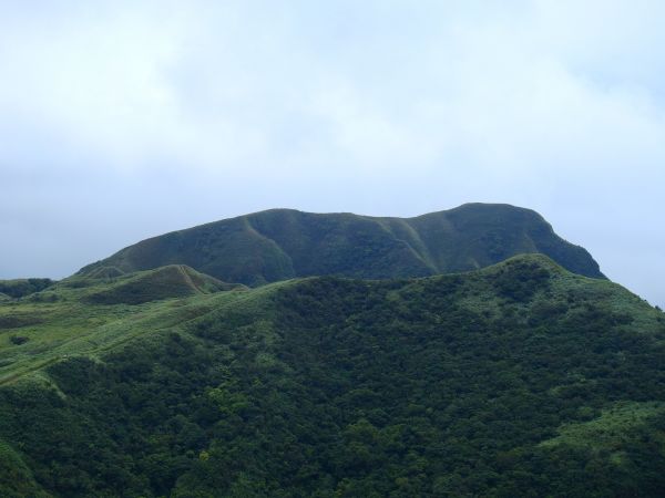 桃源谷古道封面