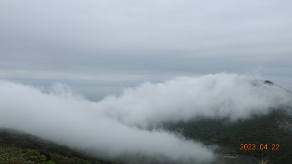 再見陽明山雲瀑，大屯山雲霧飄渺日出乍現，小觀音山西峰賞雲瀑。2123375