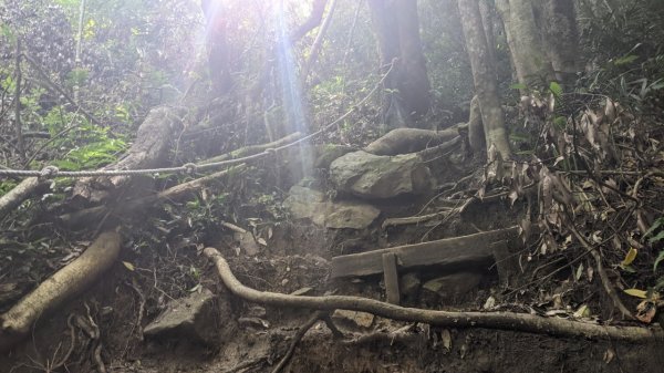 白毛山步道 (谷關七雄)1756331