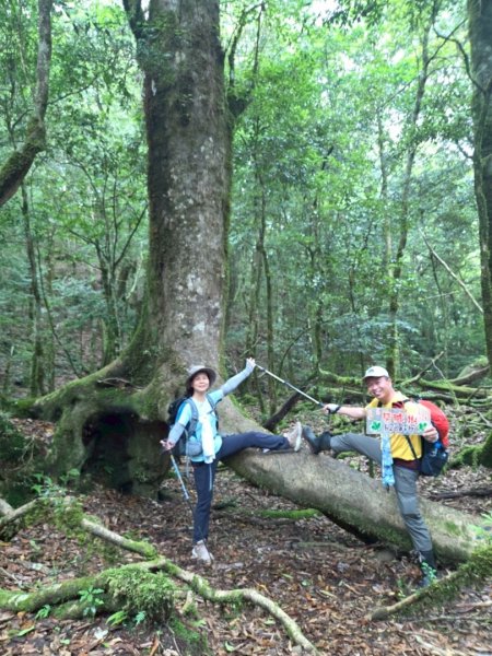 觀雪縱走~大園登山協會2828650