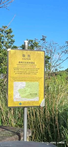 11/29六 小觀音山2952630