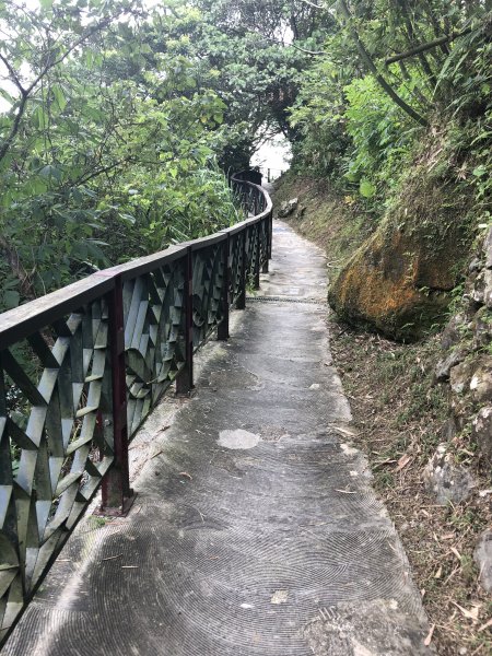 【台北大縱走7】指南宮-貓空-樟樹步道1046330