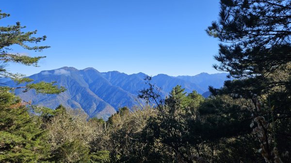 巒安堂-西巒2686010