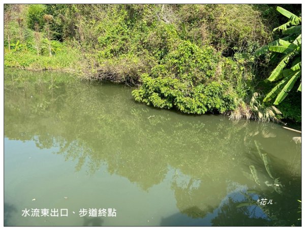 老崎古道、老崎坪頂山 (頭份)2737203