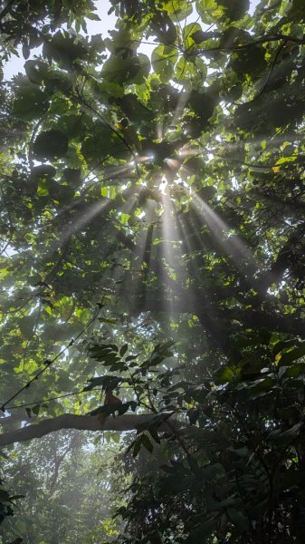∆步道∆ 王爺崙山 龍麟山步道2750748