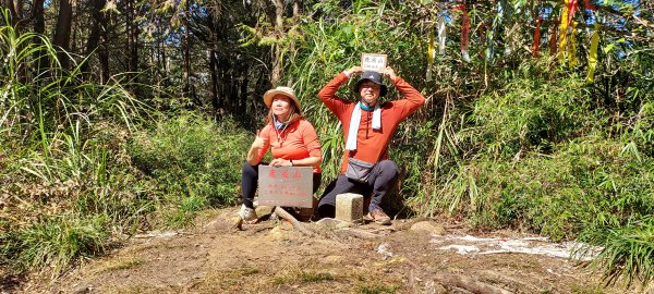 水漾森林、鹿屈山、眠月神木2729645