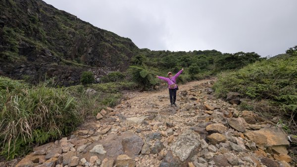 115.05.31燦光寮古道-草山-不厭亭之旅3067258