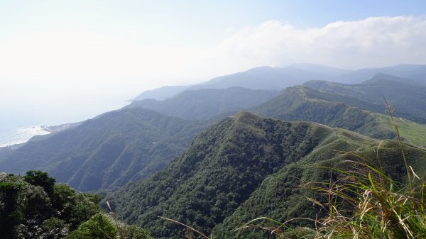 灣坑頭山，大里上大溪下1993809