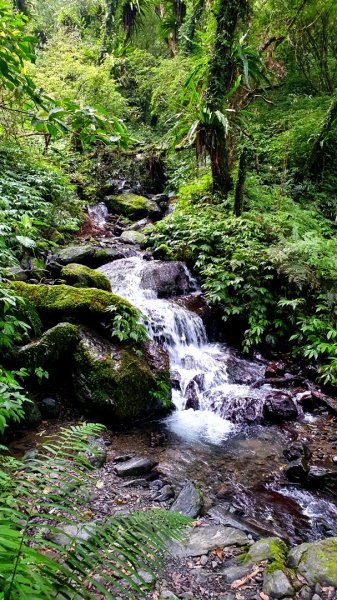 抹茶山，聖母登山步道，隆隆山，福卯古道，水柳腳登山步道，觀音台步道，北勢溪自行車道1742241