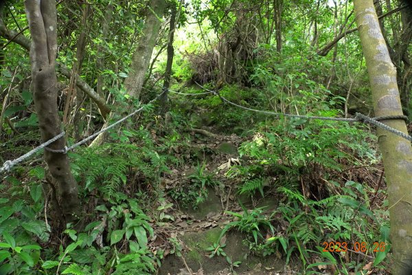 基隆 頂寮山、龍門山、五分山、頂子寮山2265932