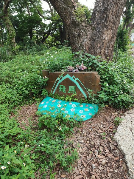 飛鳳山、觀日坪古道封面