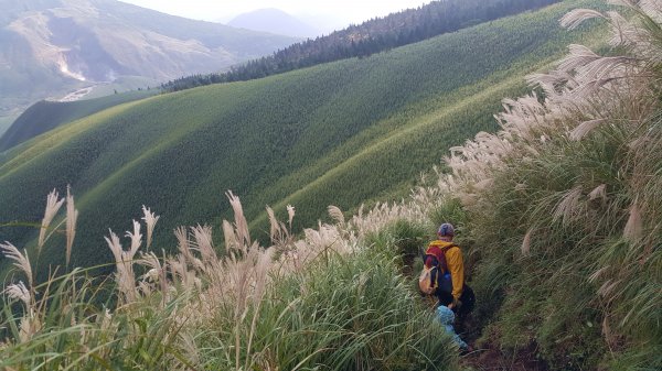 阿興阿賢小觀音山562681